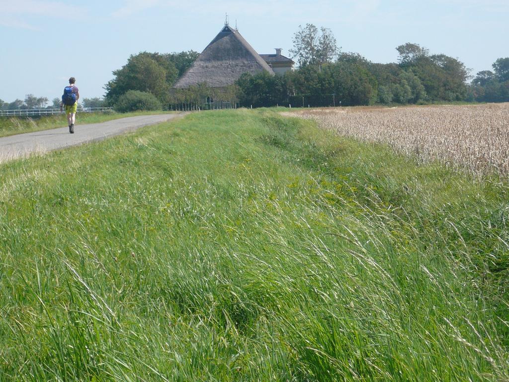 Herberg De Gekroonde Leeuw Arum Exteriér fotografie